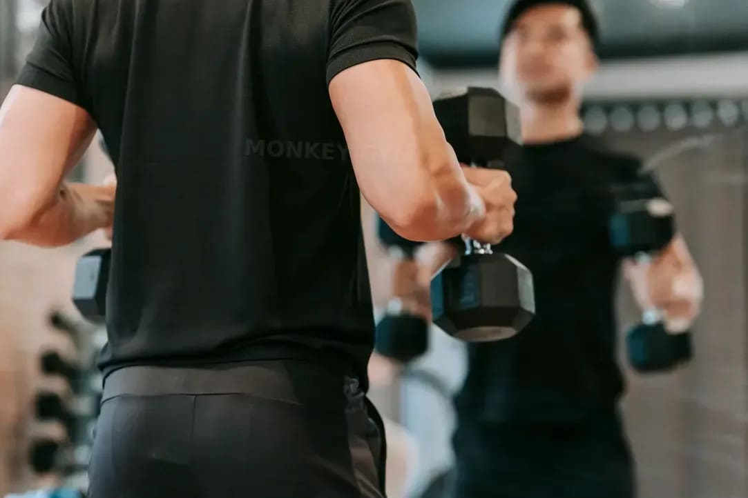 MONKEY GYM 2