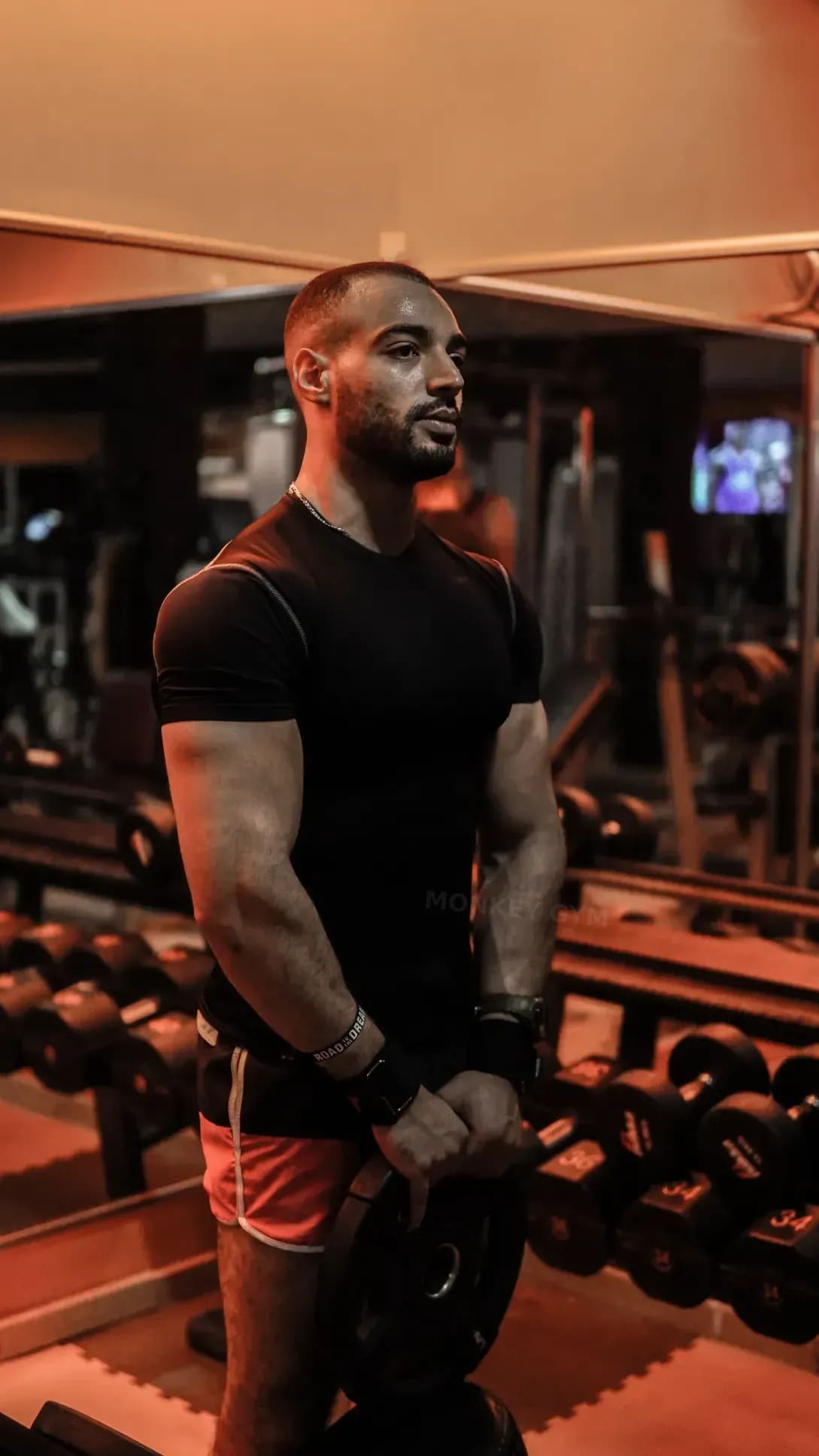 MONKEY GYM 6