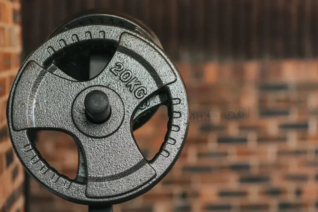 MONKEY GYM 9